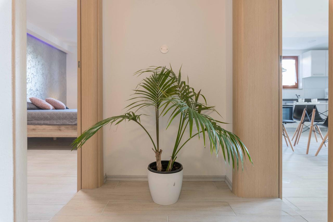 Apartments Villa Tre Marie Rovinj Exterior photo